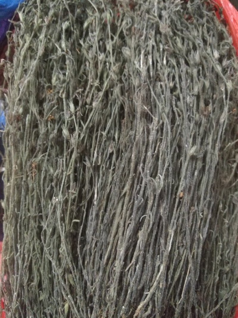 独脚金