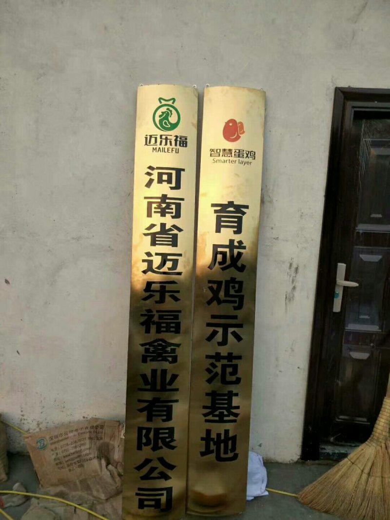 常年供应峪口京红一号60日龄青年蛋鸡。