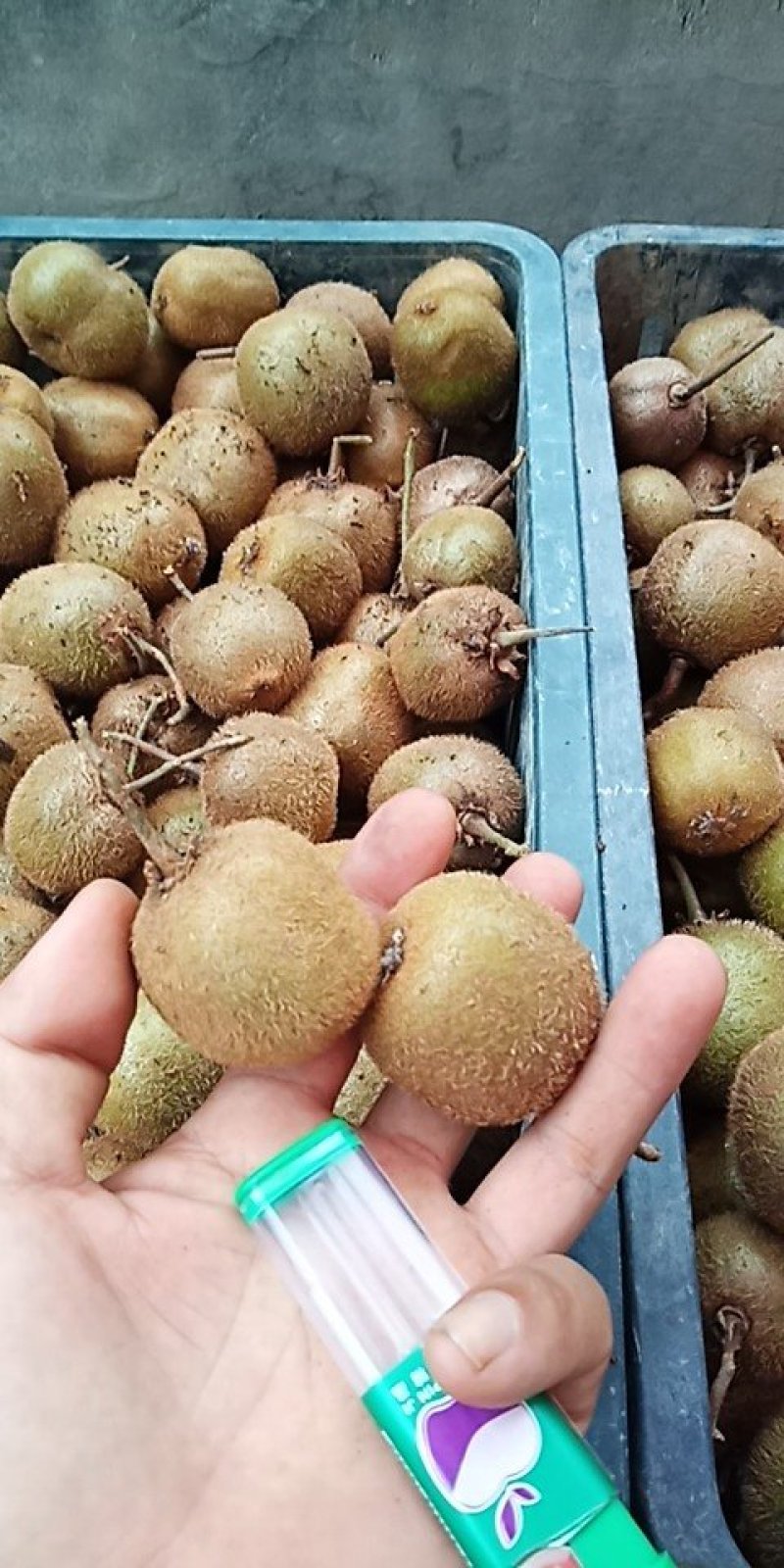 眉县冷库果〈徐香小桃60-90质量杠杠滴