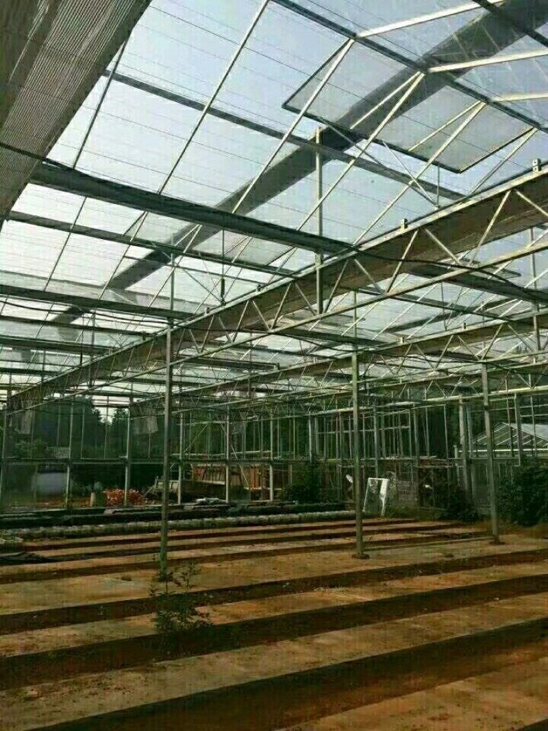 生态餐厅