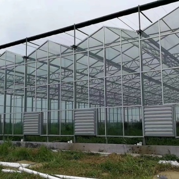 生态餐厅