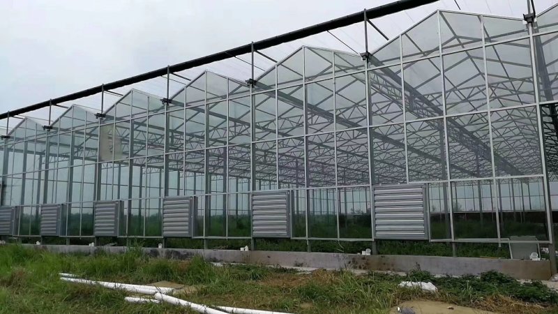 生态餐厅