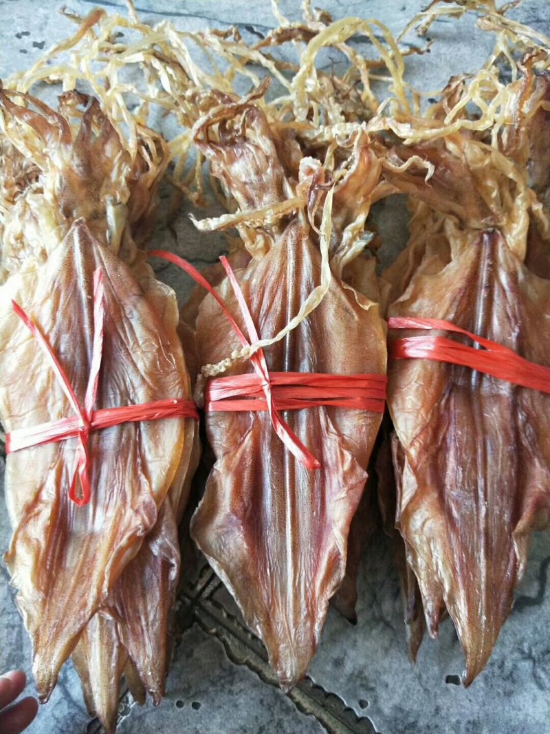 鱿鱼母