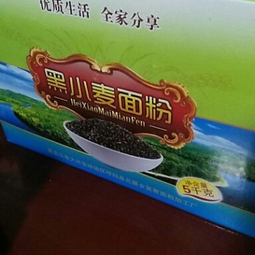 黑小麦面