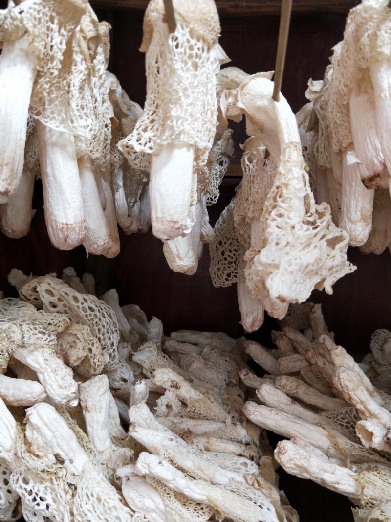 新鲜竹荪（干货）