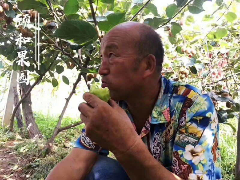 徐香猕猴桃，