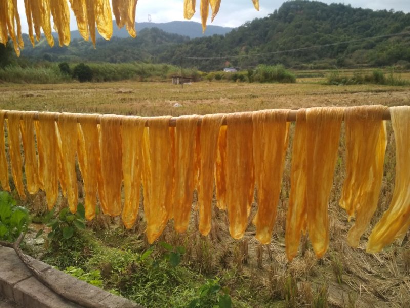 腐竹
