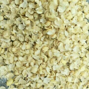 大壳豆皮