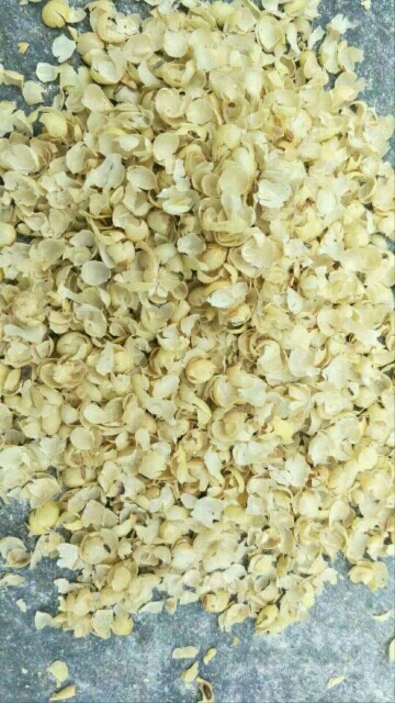 大壳豆皮