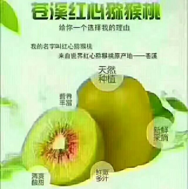 红心猕猴桃