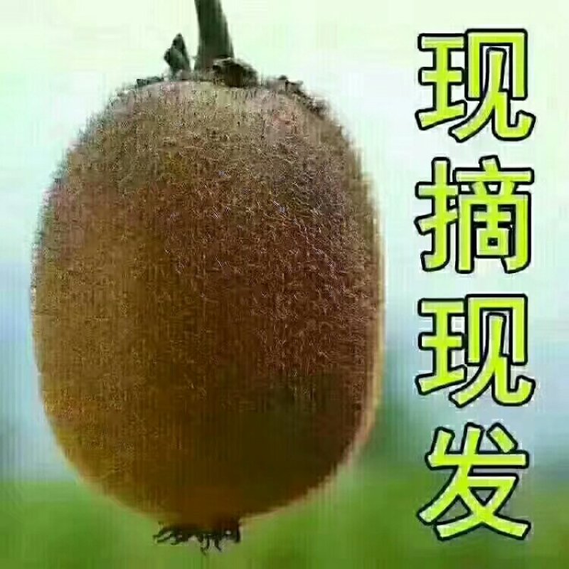 翠香