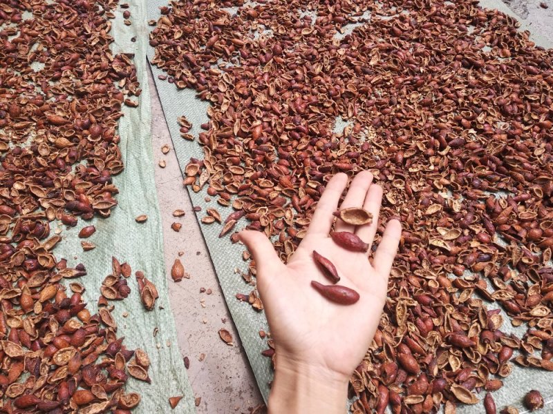 金樱子肉糖果，新货，肉厚味甜选装无硫磺放心药材