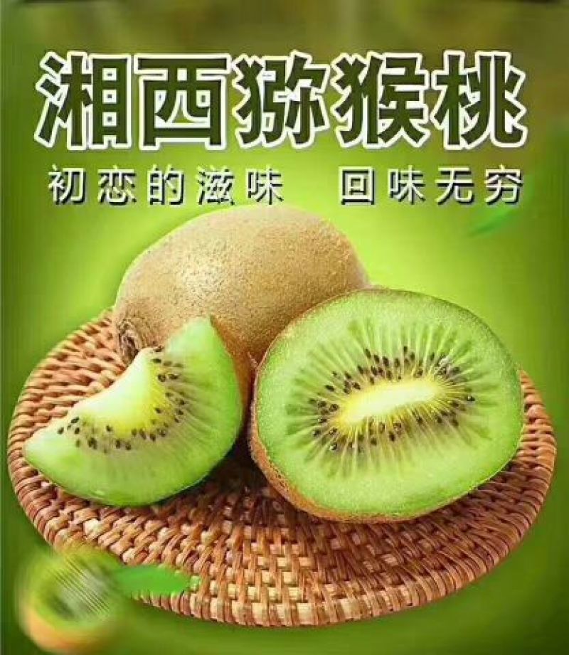 湘西猕猴桃