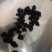 桑椹干中药材用河北干货2斤起包邮量大优惠