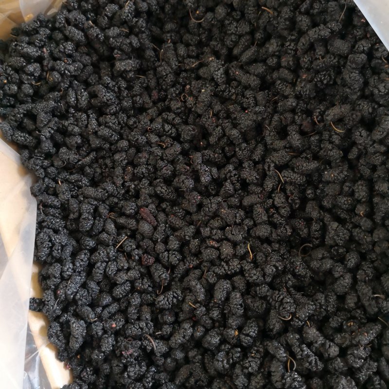 桑葚干食用四川干货口感好无泥沙2斤包邮量大从优