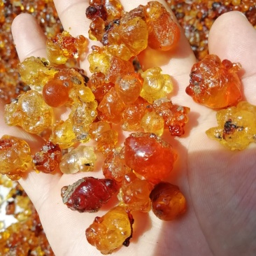 中颗粒，珠胶