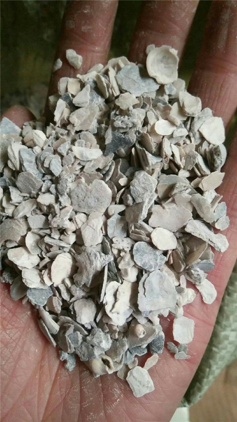 牡蛎矿石中药材