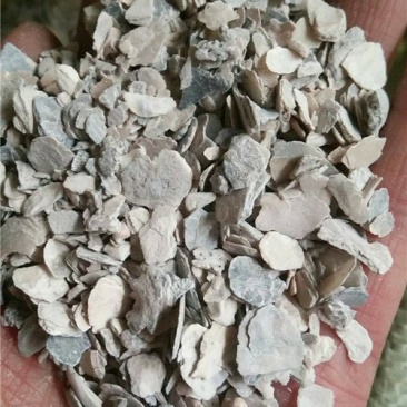 牡蛎矿石中药材