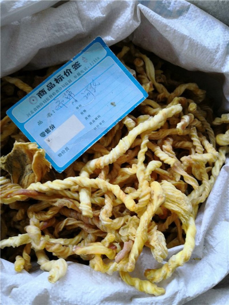 脐带