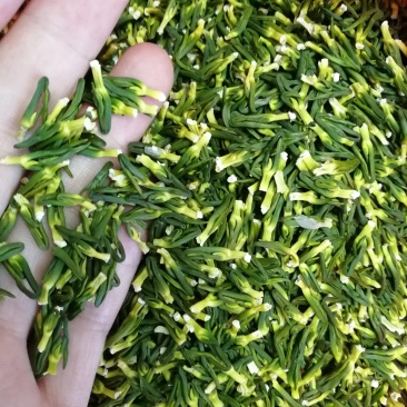 莲心莲子芯江西广昌莲子心
