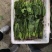 加工厂货源