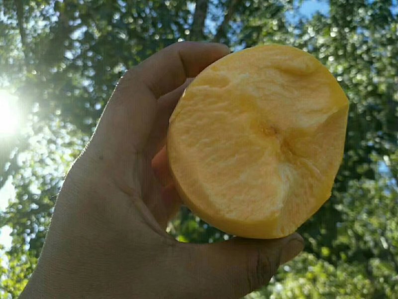 黄桃