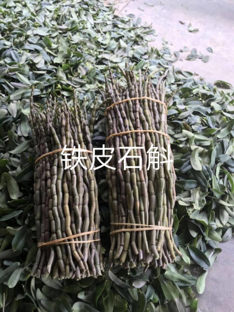 小黄精