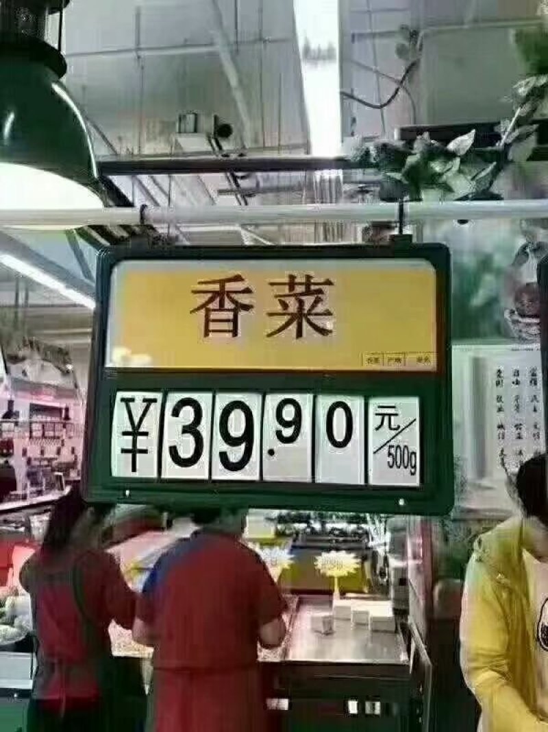 黄豆