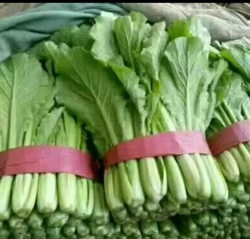 快菜