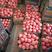 硬粉西红柿，产地直供，发货全国各大商场超市