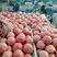 硬粉西红柿，产地直供，发货全国各大商场超市