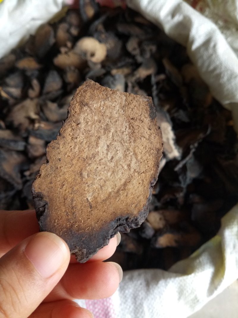 肉苁蓉大芸片新疆选货量大从优2斤起包邮