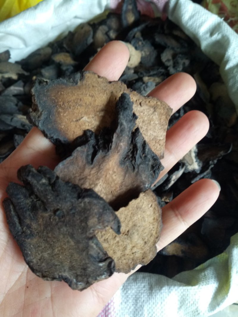 肉苁蓉大芸片新疆选货量大从优2斤起包邮