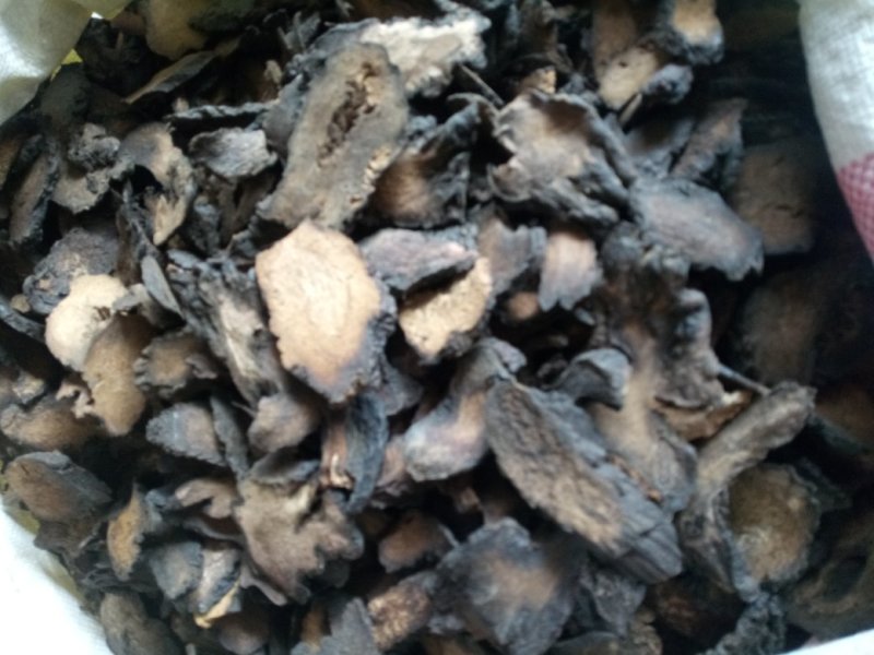 肉苁蓉大芸片新疆选货量大从优2斤起包邮