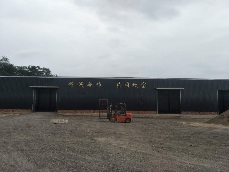 花牛苹果各种型号批发，有水果储存库全年合作