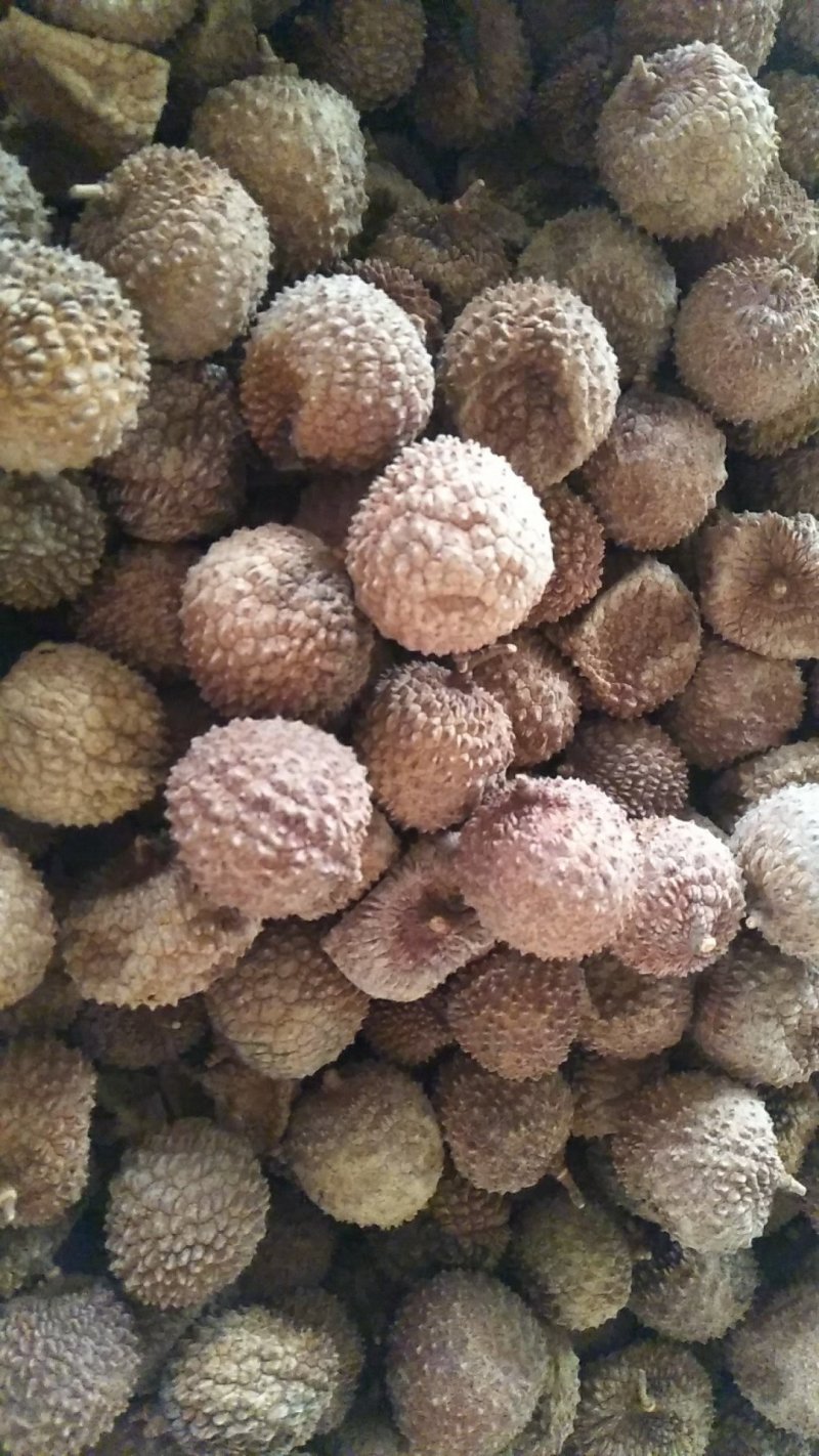 高州特级桂味荔枝干新货现货