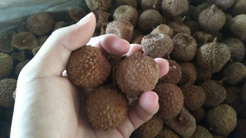 高州特级桂味荔枝干新货现货
