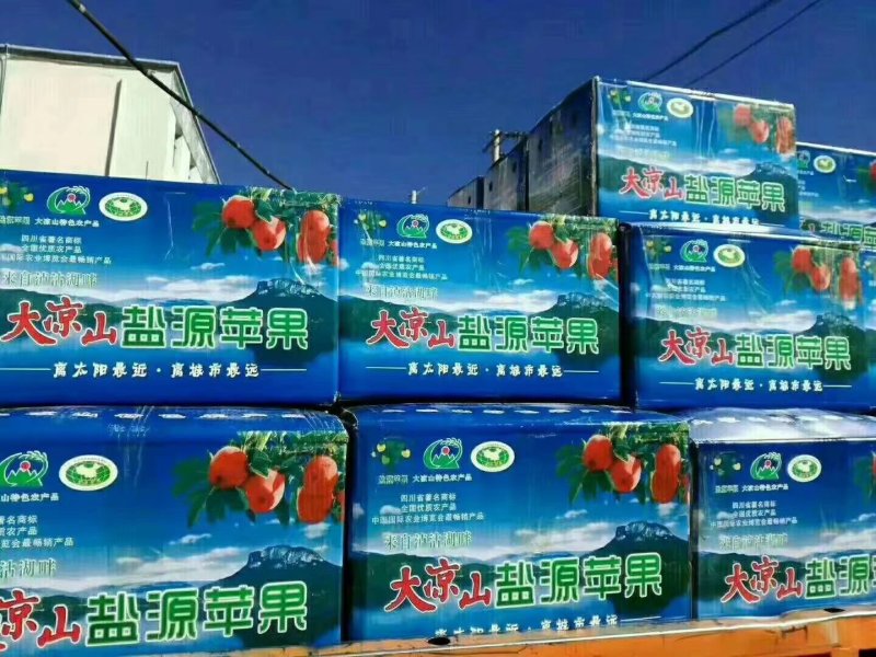 盐源苹果