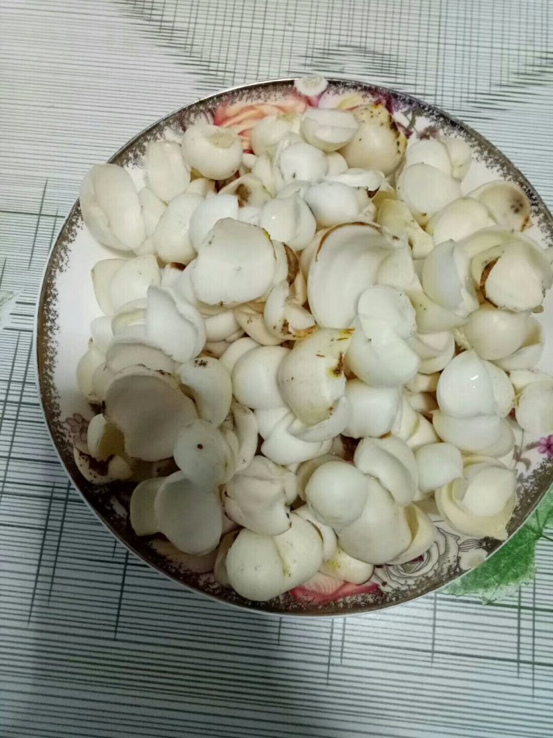 食用条百合种球
