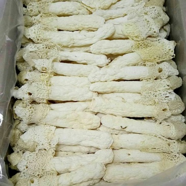 野生菌干货批发