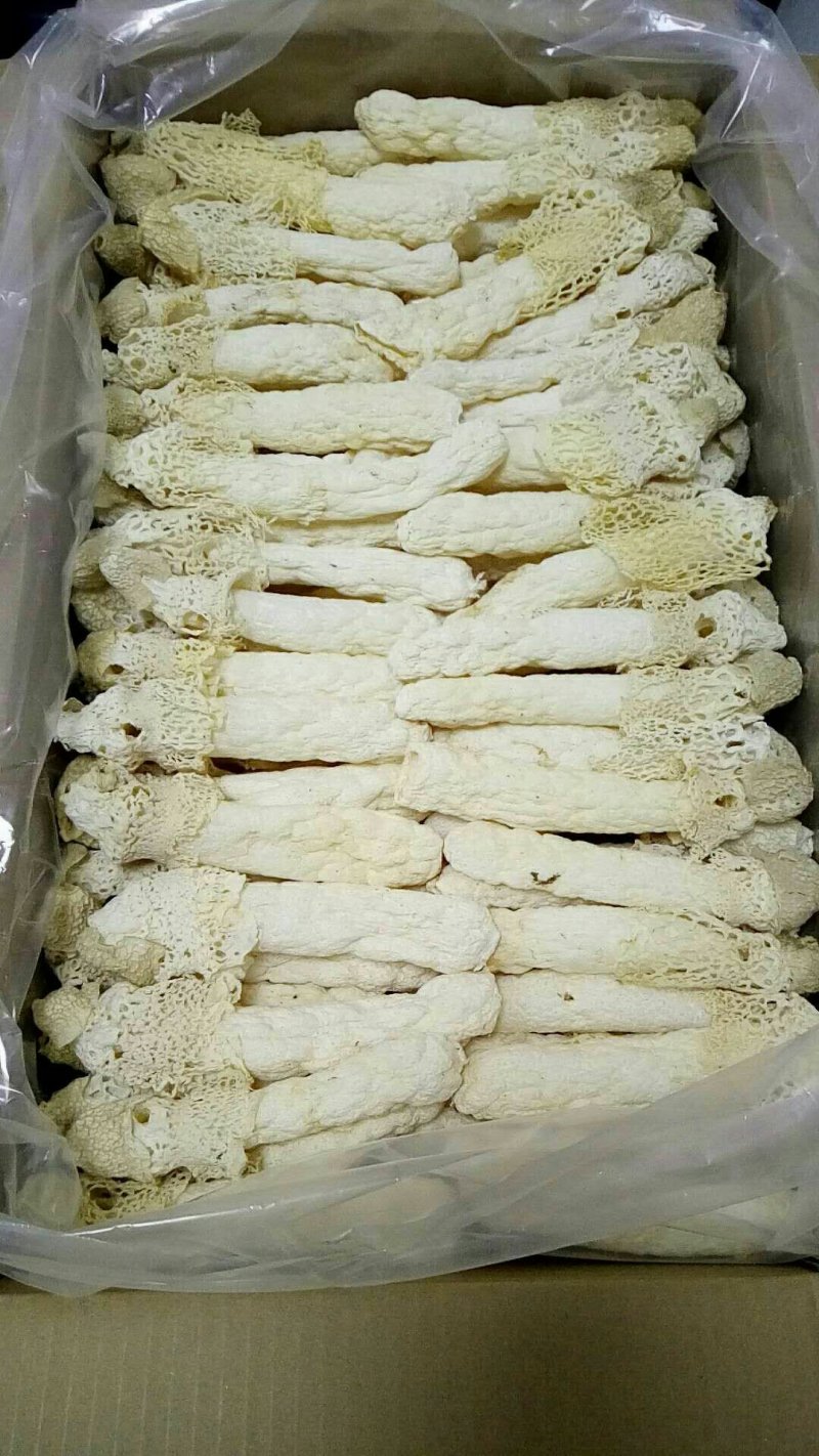 野生菌干货批发