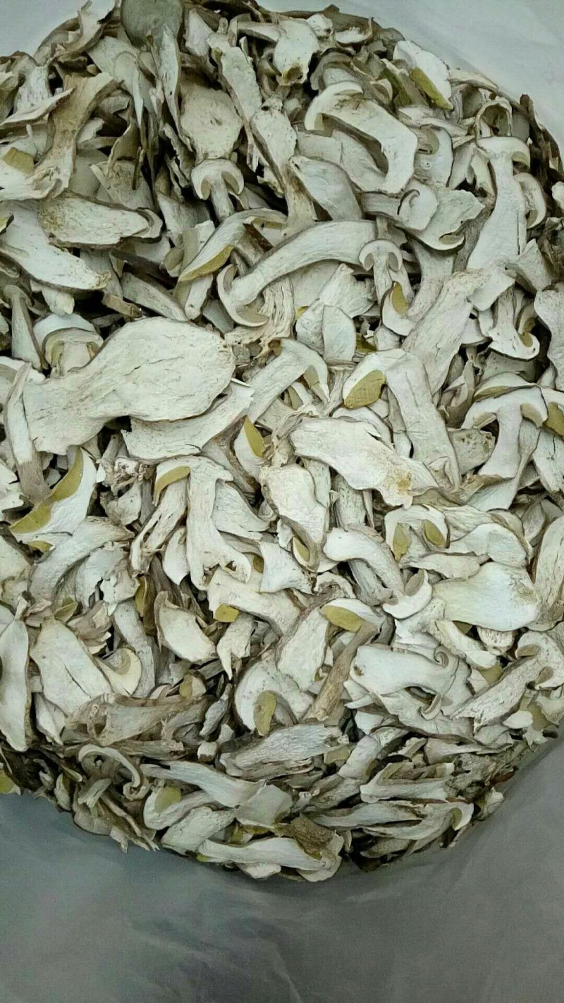 野生菌干货批发