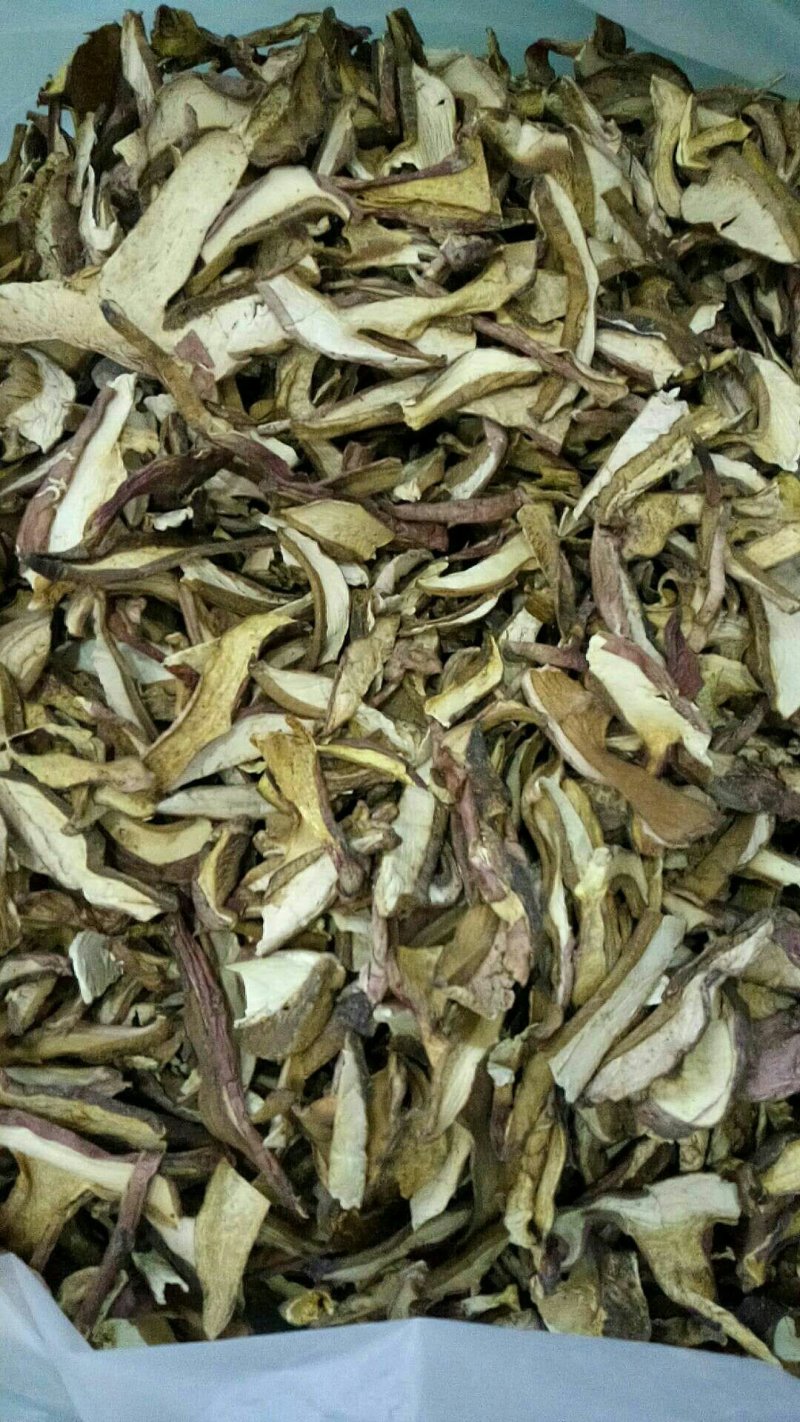 野生菌干货批发