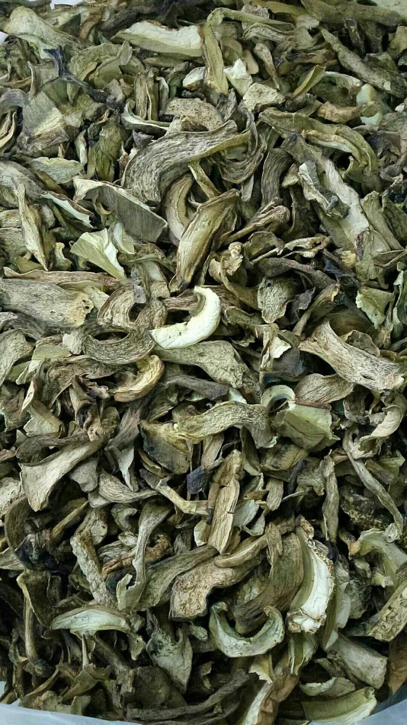 野生菌干货批发