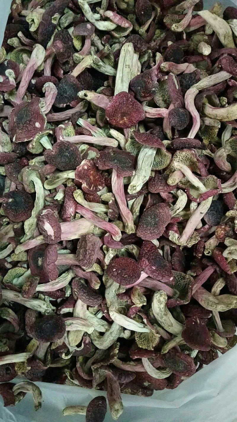 野生菌干货批发