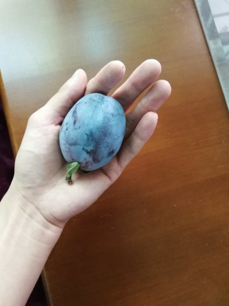 西梅蓝蜜