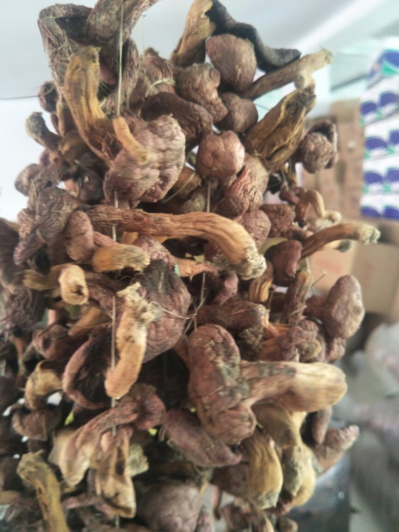 红蘑串→产地围场直发（2019年新货）