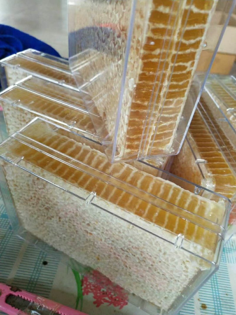 蜂巢蜜