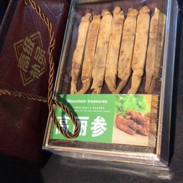 高丽参