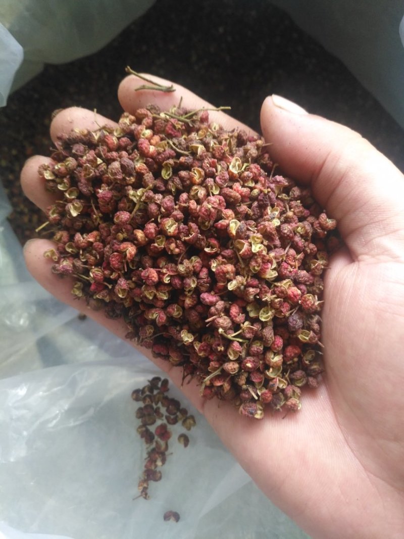 大红袍二级